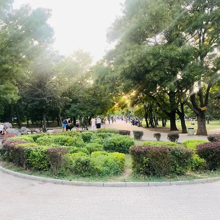 Green * Sofia